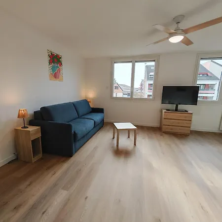 Le Petit Du Leman Studio,centre-ville Confort Et Luminosite